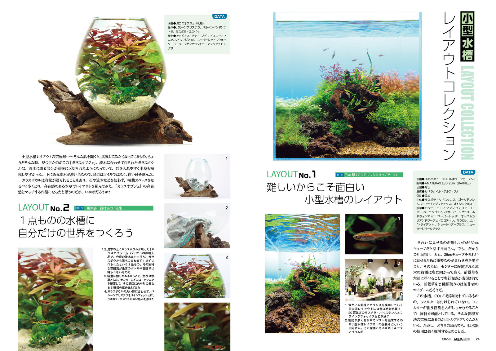 Aqua Life 22 3 Out Small Size Waterweed Aquarium Import Japanese Products At Wholesale Prices Super Delivery