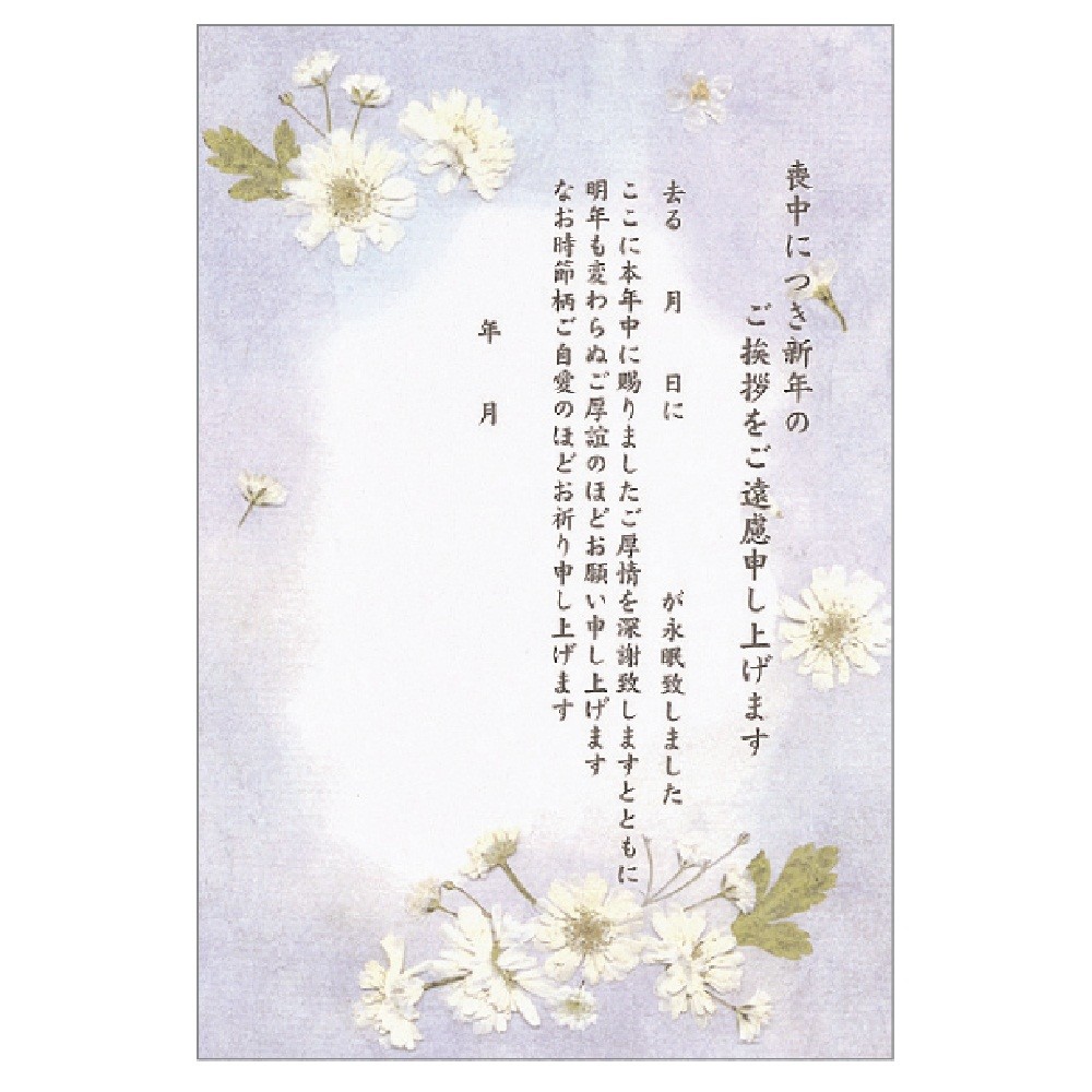 Post Card 40 Pcs Pressed Flowers Import Japanese Products At Wholesale Prices Super Delivery