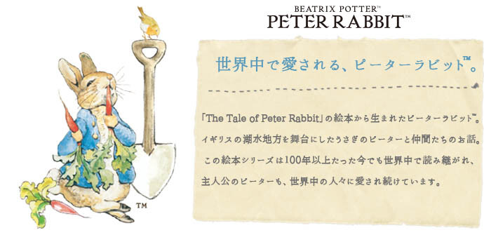 必要ない 以上 前進 ピーター ラビット 耐熱 マグカップ Apab Jp