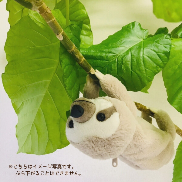 Sloth Pencil Case Animal Pencil Case Pencil Case Stationery Women Student Import Japanese Products At Wholesale Prices Super Delivery