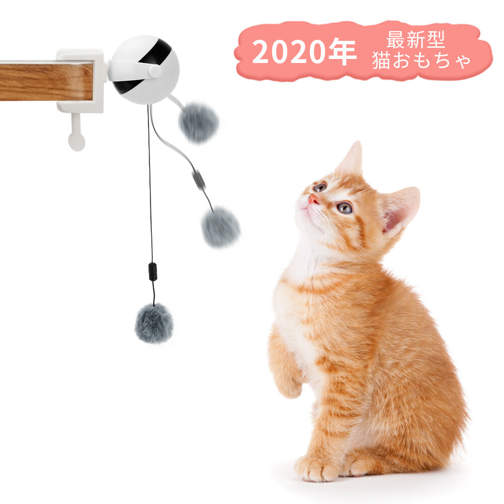 cat toy shop near me