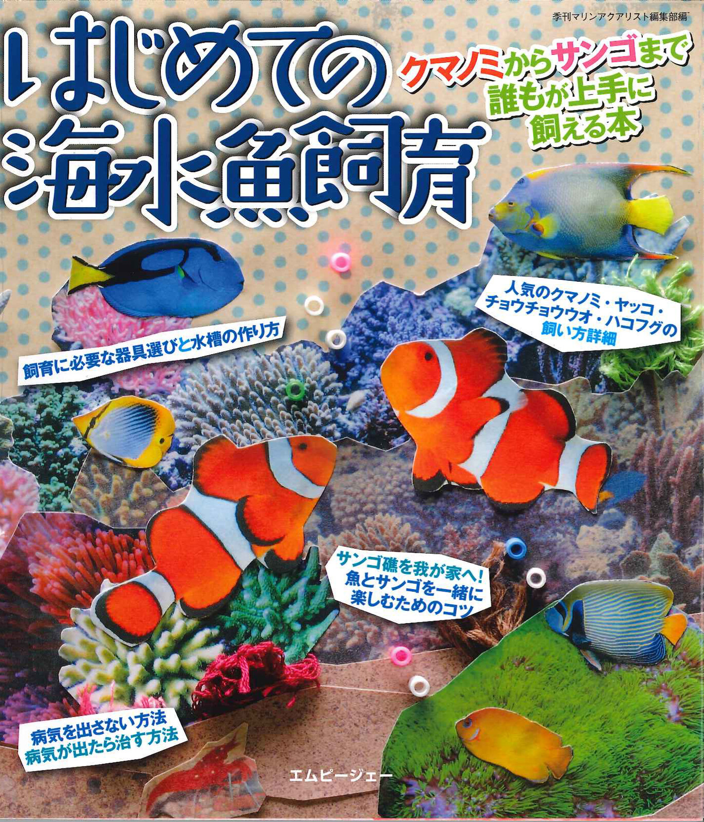 The First Saltwater Fish Breeding Import Japanese Products At Wholesale Prices Super Delivery