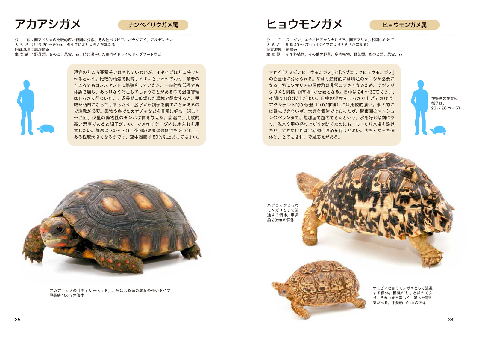 Animal Book Import Japanese Products At Wholesale Prices Super Delivery